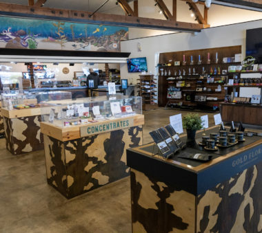 Interior of a modern store with wooden display counters showcasing various products and a colorful mural on the wall