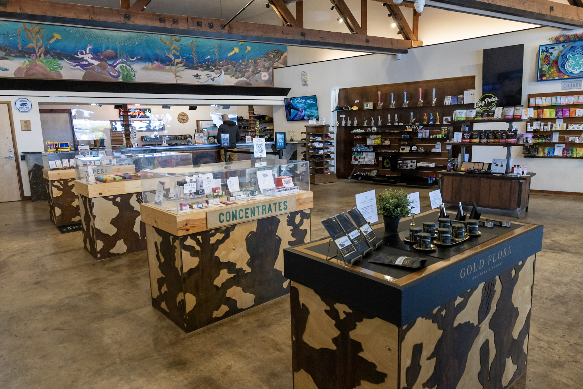 Body and Mind Expands in Seaside California Body&Mind