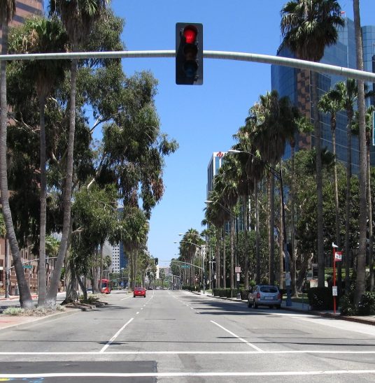 Wide city street lined with palm trees and high-rise buildings, viewed from behind a red traffic light.