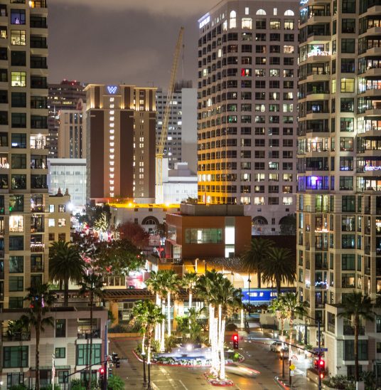 Nighttime city street scene with tall buildings, illuminated palm trees, and traffic lights