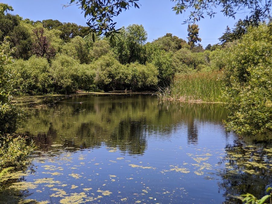 Visitor’s Guide to the Frog Pond Wetland Reserve Body&Mind