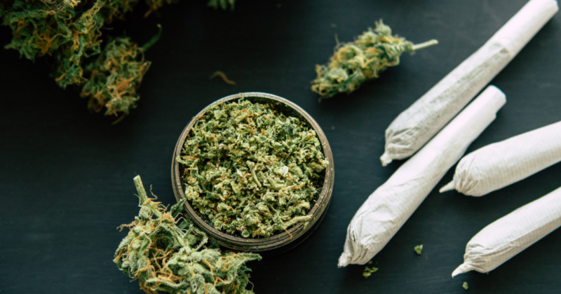 Cannabis buds, ground cannabis in a grinder, and three rolled joints on a dark surface.