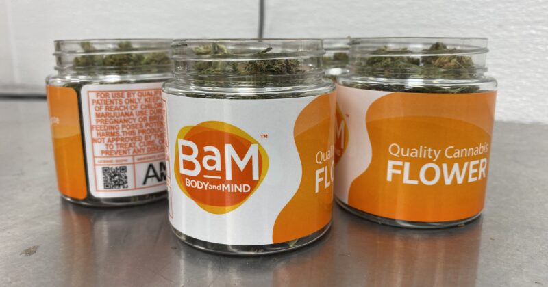 Three jars labeled ' BaM Body and Mind Quality Cannabis Flower' filled with cannabis on a metal surface.