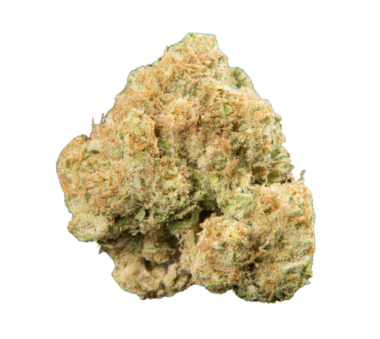 Close-up of a single cannabis bud with light green and orange hues on a white background.