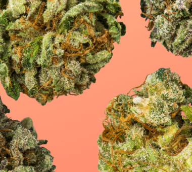 Close-up of cannabis buds with orange pistils and frosty trichomes against a peach background