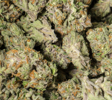 Close-up of multiple dried cannabis buds with green and orange tones.