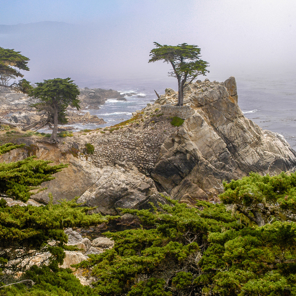 Best Dispensary Near Del Monte Forest, CA