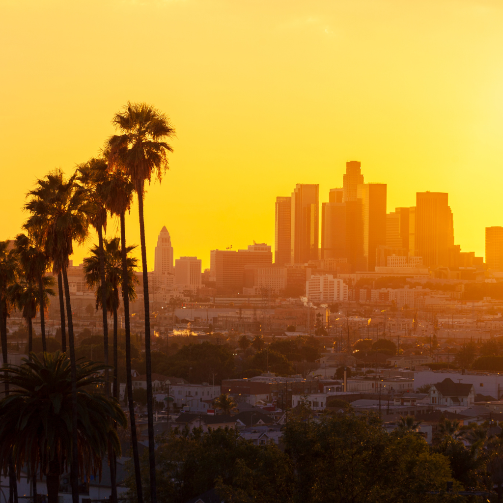 Best Dispensary Near Paramount, CA